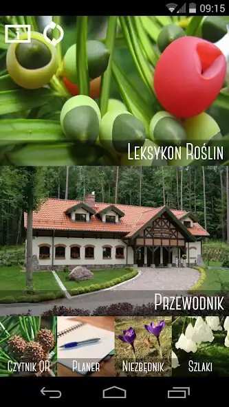 Play Leśne Arboretum Warmii i Mazur as an online game Leśne Arboretum Warmii i Mazur with UptoPlay
