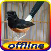 Free play online Lengkap Masteran Murai Batu APK Free play online Lengkap Masteran Murai Batu APK