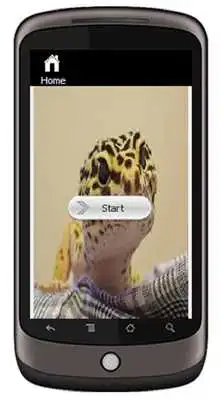 Play Leopard Gecko Play Leopard Gecko