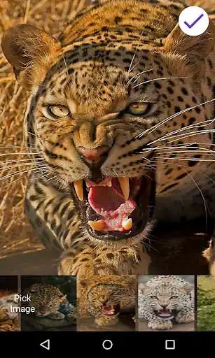 Play Leopard Lock Screen as an online game Leopard Lock Screen with UptoPlay