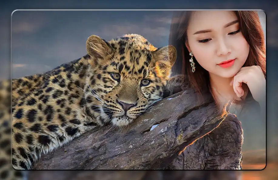 Play Leopard Photo Frames  and enjoy Leopard Photo Frames with UptoPlay