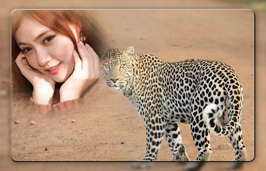 Play Leopard Photo Frames as an online game Leopard Photo Frames with UptoPlay