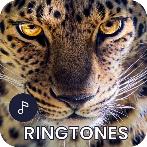 Play Leopard Ringtones APK