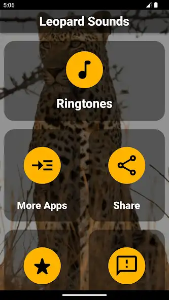 Play Leopard Ringtones and enjoy Leopard Ringtones with UptoPlay Play Leopard Ringtones and enjoy Leopard Ringtones with UptoPlay