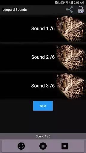 Play Leopard Sounds  and enjoy Leopard Sounds with UptoPlay