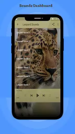 Play Leopard Sounds as an online game Leopard Sounds with UptoPlay