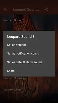 Play Leopard Sounds Play Leopard Sounds