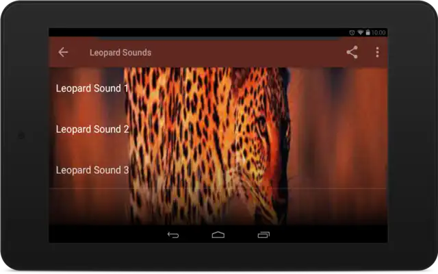 Play Leopard Sounds Play Leopard Sounds