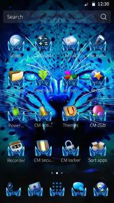 Play Leopard Tech Theme