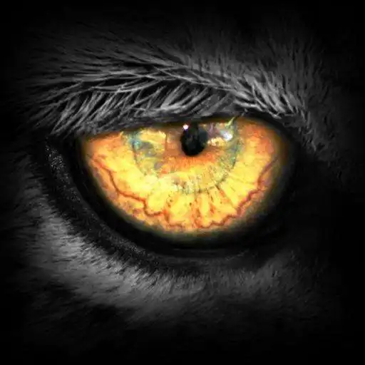 Free play online Leopard.tv Wildlife Magazine APK Free play online Leopard.tv Wildlife Magazine APK