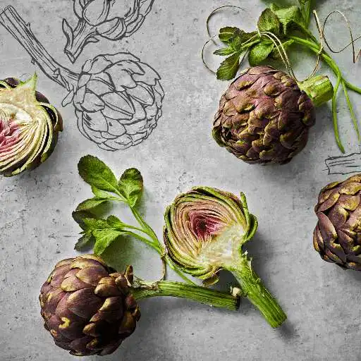 Play LEO Pharma by Compass APK