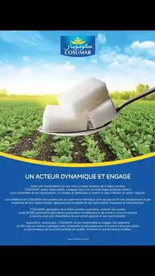 Play LES AFRIQUES