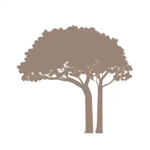 Play Les Pins Promoteur Immobilier APK