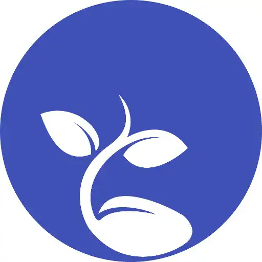 Play Lessons on the Way APK