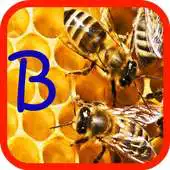Free play online Let it BEE wallpeper APK Free play online Let it BEE wallpeper APK