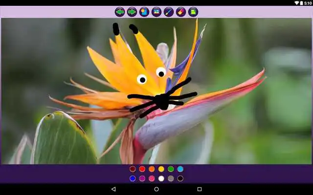 Play Lets Draw Play Lets Draw