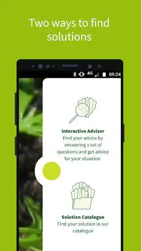Play APK Lettuce Advisor  and enjoy Lettuce Advisor with UptoPlay com.rijkzwaan.lettuceadvisor