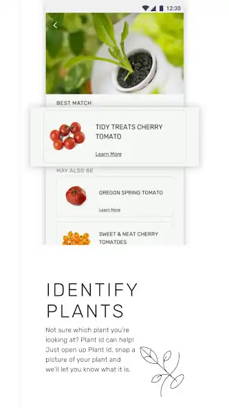 Play Lettuce Grow as an online game Lettuce Grow with UptoPlay