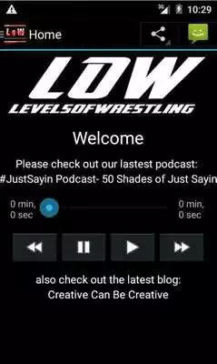Play Levels Of Wrestling