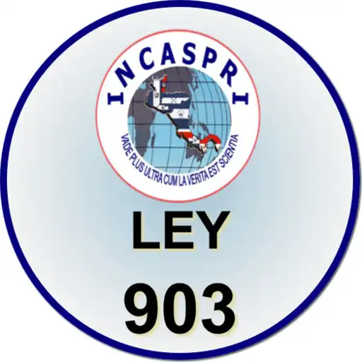 Play Ley 903 Servicios Seguridad Privada APK