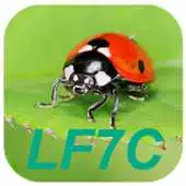 Free play online LF7C "Loto Foot" Calculator APK Free play online LF7C "Loto Foot" Calculator APK