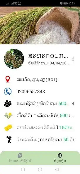 Play LFN Group as an online game LFN Group with UptoPlay