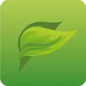 Free play online Liane APK