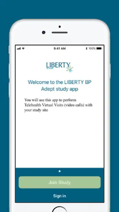 Play LIBERTY BP Adept as an online game LIBERTY BP Adept with UptoPlay