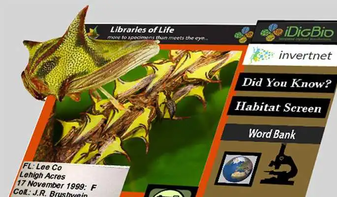 Play Libraries of Life