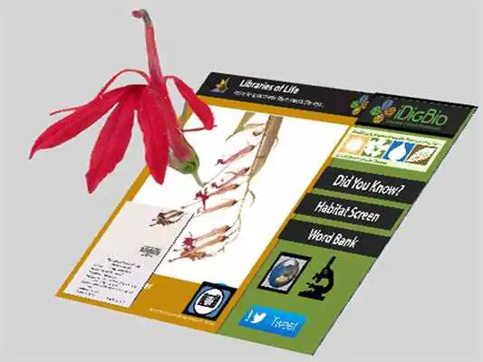 Play Libraries of Life