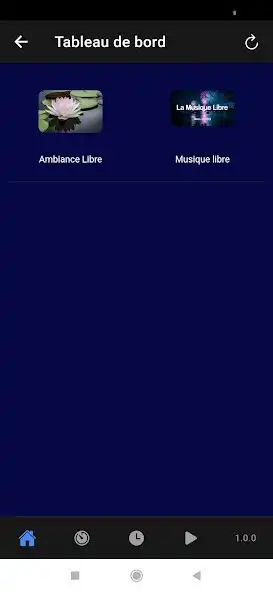 Play Librodio as an online game Librodio with UptoPlay