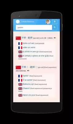 Play Licheez Chinese Dictionary