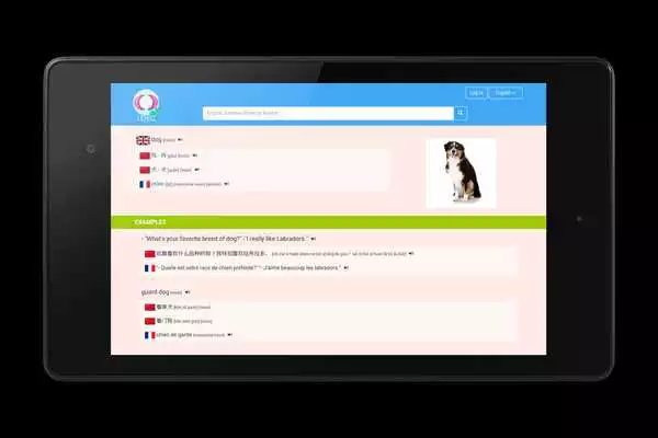 Play Licheez Chinese Dictionary