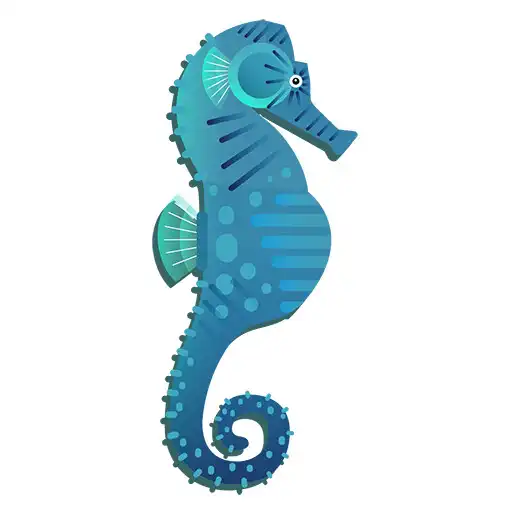 Play Lido Cavalluccio Marino APK Play Lido Cavalluccio Marino APK