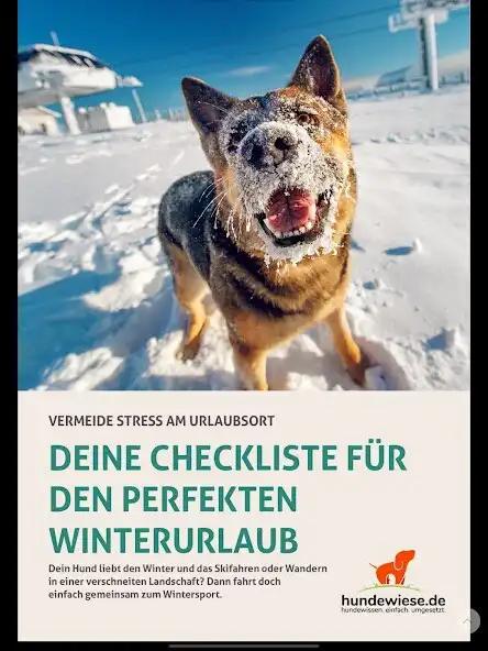 Play Liebe zum Hund as an online game online Liebe zum Hund with UptoPlay Play Liebe zum Hund as an online game Liebe zum Hund with UptoPlay