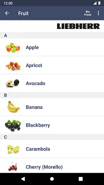 Play Liebherr BioFresh as an online game Liebherr BioFresh with UptoPlay