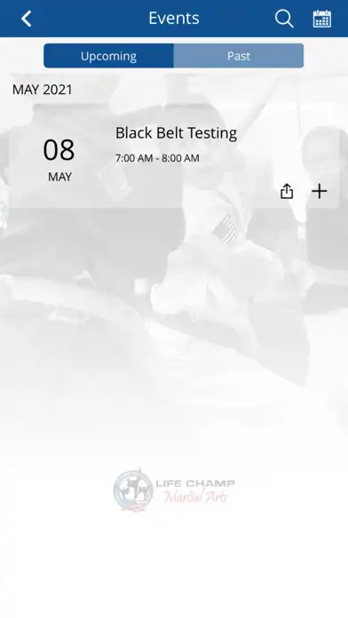 Play Life Champ Martial Arts as an online game Life Champ Martial Arts with UptoPlay