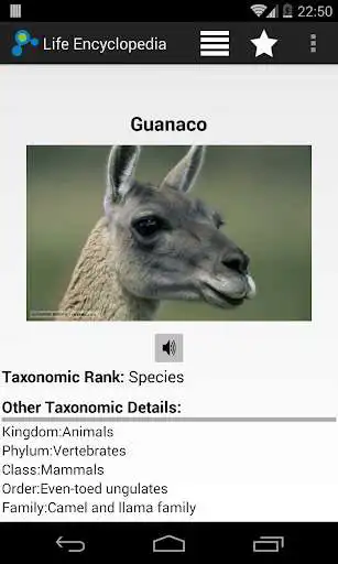 Play Life Encyclopedia