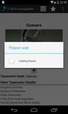 Play Life Encyclopedia