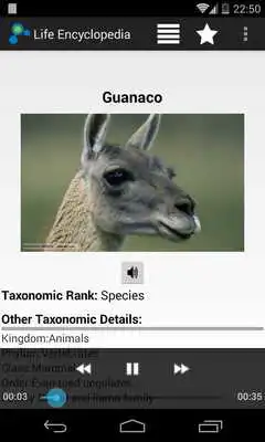 Play Life Encyclopedia