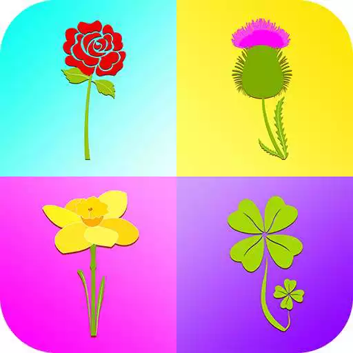 Play Life in the UK Test Lite APK