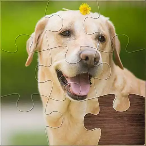 Play Life Jigsaw Puzzles APK