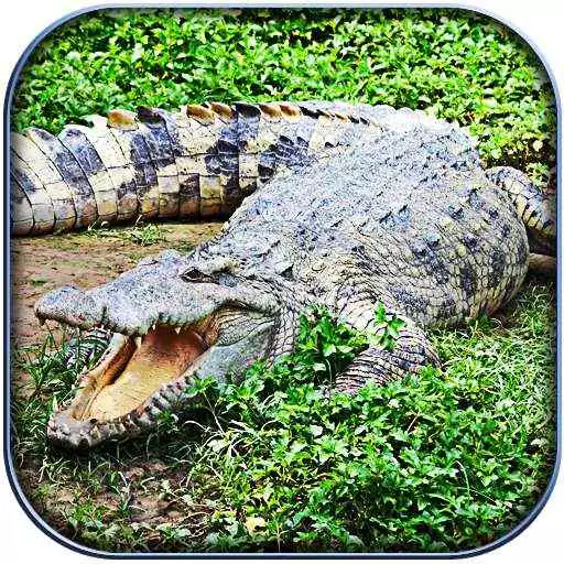 Free play online Life of Crocodile - Wild Sim APK