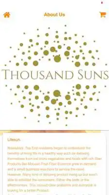 Play Lifesun