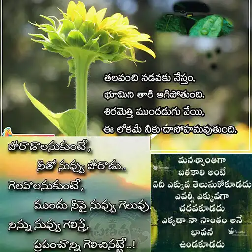 Play Life Telugu Quotes And Wishes APK