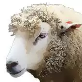 Free play online Lifty Sheep Runner APK