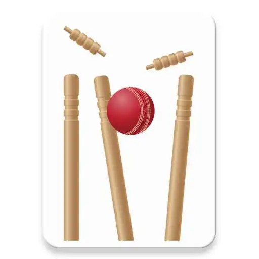 Play Light Cricket Scorer APK