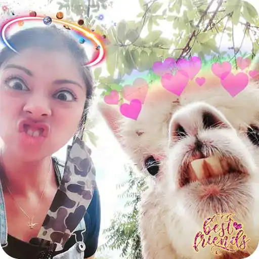 Play Light Crown Photo Editor Face Camera APK