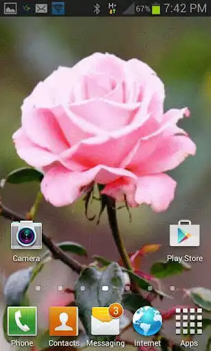 Play Lighting Pink Rose LWP as an online game Lighting Pink Rose LWP with UptoPlay