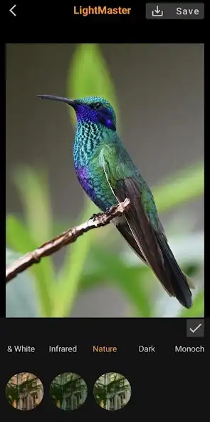 Play LightMaster: Photo Editor as an online game LightMaster: Photo Editor with UptoPlay